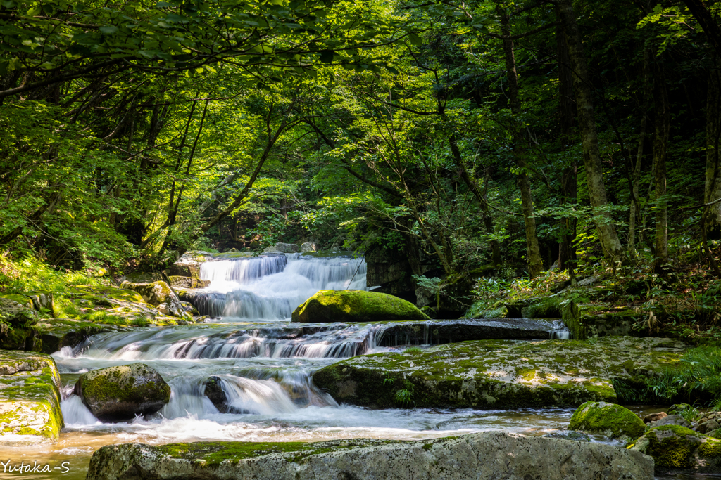 琴畑渓流・白滝