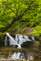 東ノ又沢の滝