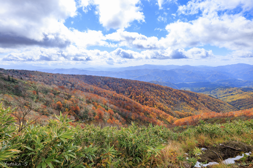 森吉山の紅葉Ⅱ