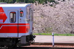 満開の駅