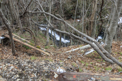 広沢の滝に到着