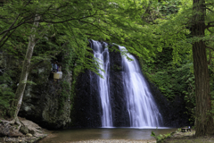 八峰町・白瀑