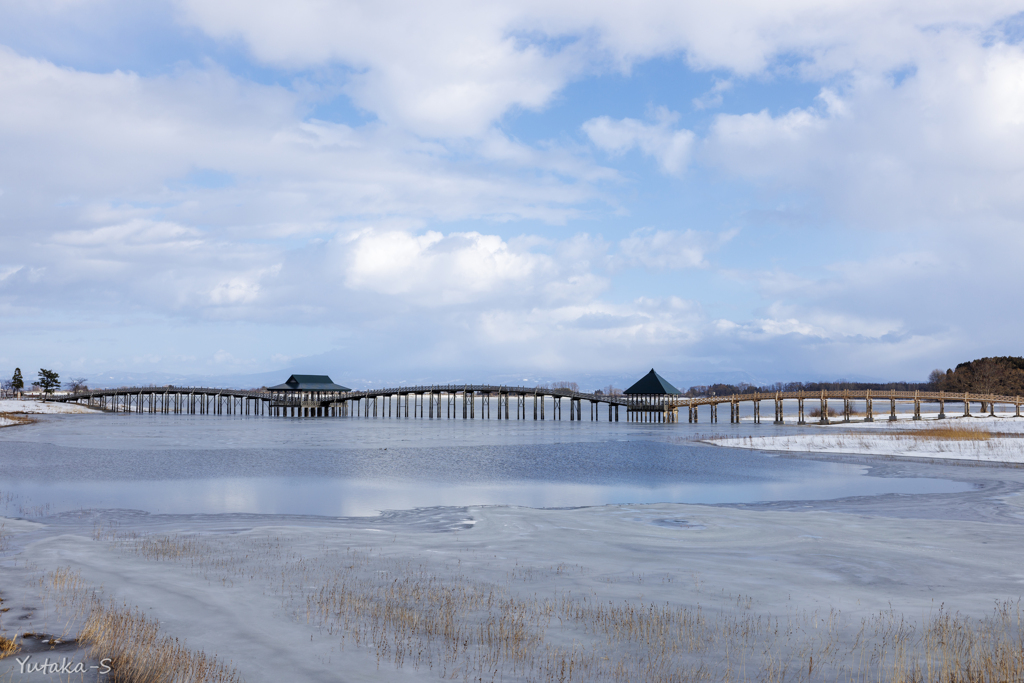 久々の鶴の舞橋