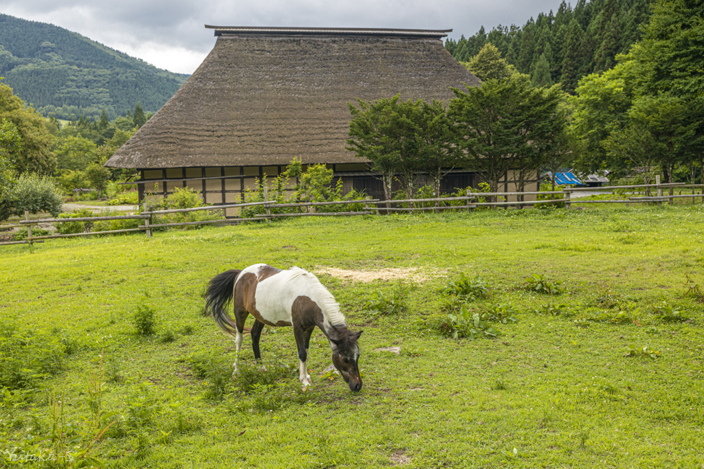 ふるさと村にてⅢ