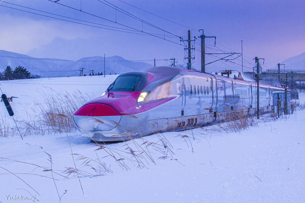 雪の野を駆けるこまち