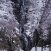 白糸の滝