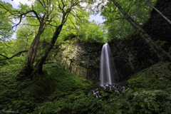 奥入瀬・双竜の滝