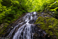 小根津戸の雌滝