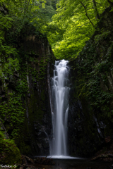 仙人沢の前滝
