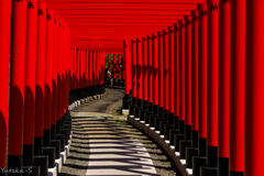 千本鳥居どこまで続く