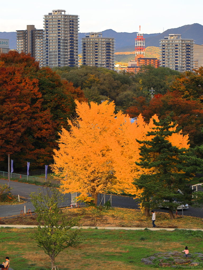 公園で