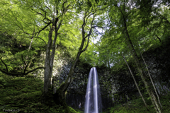 奥入瀬・双竜の滝Ⅱ