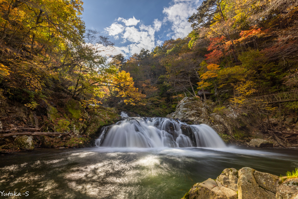 中野白滝