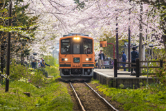 満開の駅