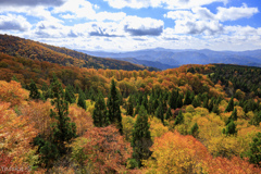 森吉山の紅葉