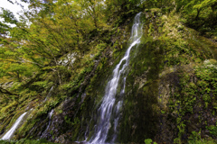 真木白滝