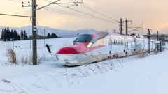 こまち駆けるⅡ