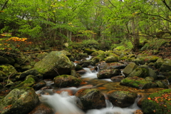 秋迎える渓流