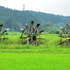 田園の夏風景