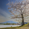 津軽富士見湖の春