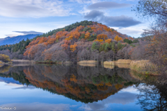 晩秋を映す