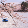 桜日和Ⅱ