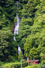 山形・白糸の滝