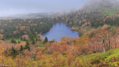 八幡平・小雨の熊沼