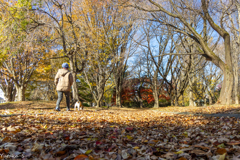 晩秋の公園にてⅡ