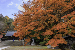 深まる秋に想うⅡ