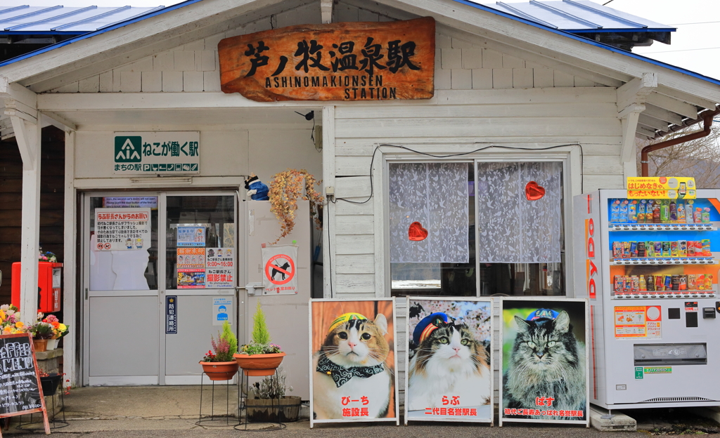 ねこが働く駅