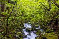 高瀬峡