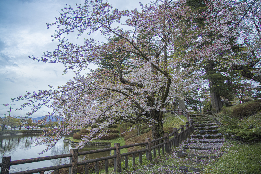 上杉神社にて