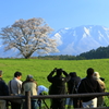 おまけ・・朝も早よから