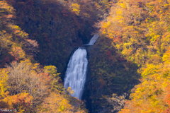 宮城・山形 秋の滝巡り 不動滝 宮城・山形 秋の滝巡り 不動滝