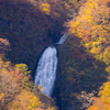 宮城･山形 秋の滝巡り 不動滝