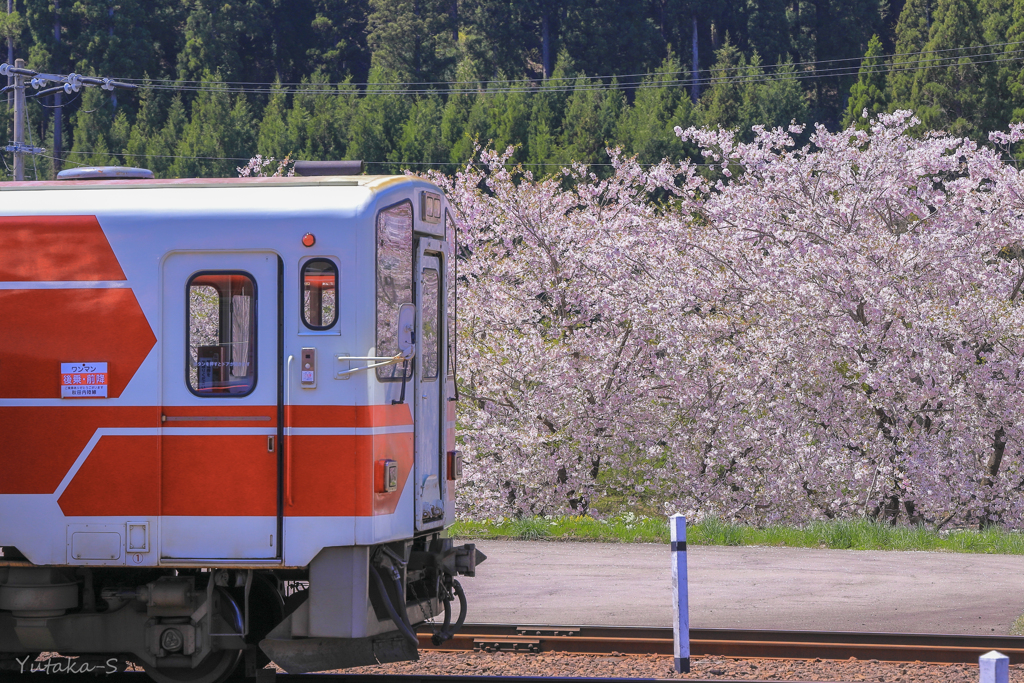 秋田内陸線で途中下車