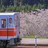 秋田内陸線で途中下車