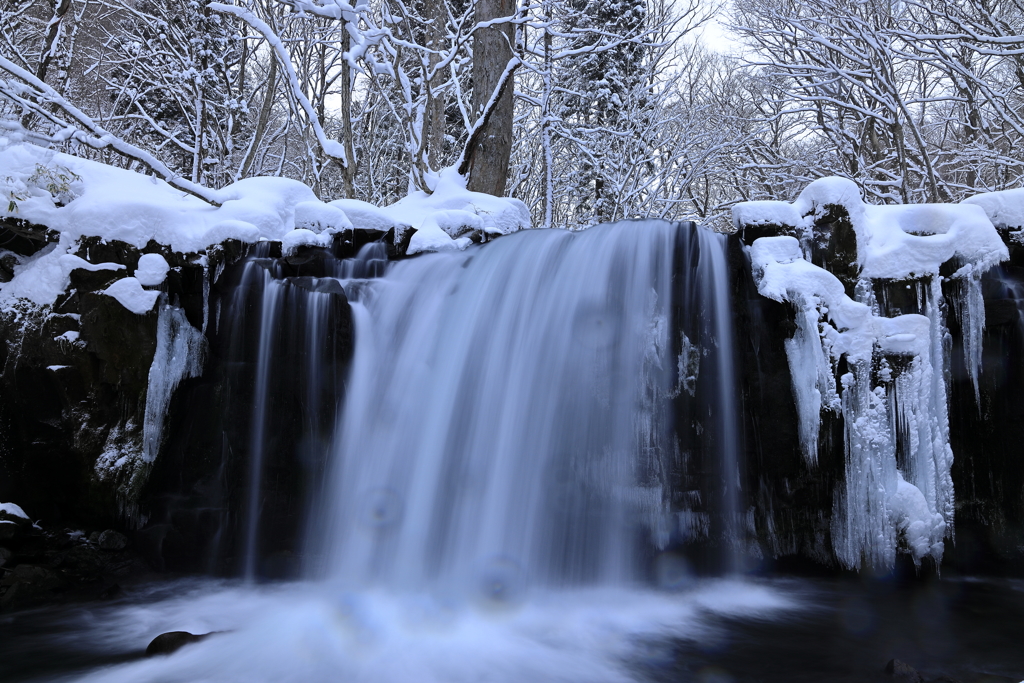 雪中の響き