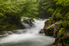雨の逢滝