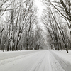 雪の国道103号