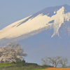 残雪を背にⅡ