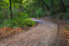 県道123号