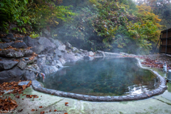 野趣溢れる