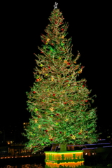 クリスマスツリー