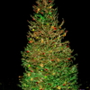 クリスマスツリー