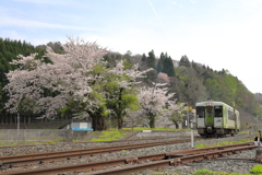 桜日和の午後