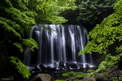 麗しの滝