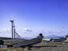 海岸で