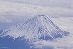 麗峰
